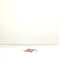 幅：19 (cm)×奥行：64 (cm)×高さ：0.5 (cm)／28 (g)，撮影・計測日：1996-04-15