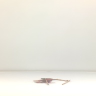 幅：13 (cm)×奥行：37 (cm)×高さ：0.4 (cm)／17 (g)，撮影・計測日：1996-04-16
