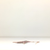 幅：18 (cm)×奥行：36 (cm)×高さ：0.5 (cm)／30 (g)，撮影・計測日：1996-04-16