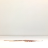 幅：18 (cm)×奥行：36 (cm)×高さ：0.5 (cm)／30 (g)，撮影・計測日：1996-04-16