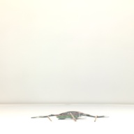 幅：15 (cm)×奥行：40 (cm)×高さ：0.5 (cm)／76 (g)，撮影・計測日：1996-04-15