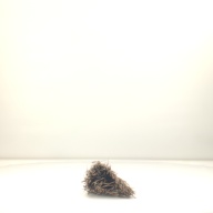 幅：25 (cm)×奥行：95 (cm)×高さ：17 (cm)／337 (g)，撮影・計測日：2001-09-14