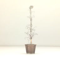 幅：11 (cm)×奥行：10 (cm)×高さ：45 (cm)／241 (g)，撮影・計測日：2001-09-19