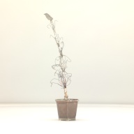 幅：11 (cm)×奥行：10 (cm)×高さ：45 (cm)／241 (g)，撮影・計測日：2001-09-19