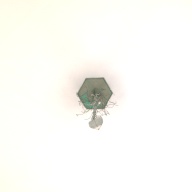 幅：11 (cm)×奥行：10 (cm)×高さ：45 (cm)／241 (g)，撮影・計測日：2001-09-19