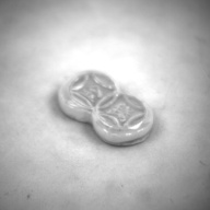 幅：2.8 (cm)×奥行：1.6 (cm)×高さ：0.5 (cm)／4 (g)，撮影・計測日：1995-01-30