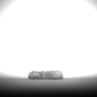 幅：2.9 (cm)×奥行：1.8 (cm)×高さ：0.5 (cm)／3 (g)，撮影・計測日：1995-01-30