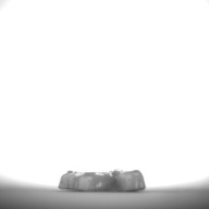 幅：2.0 (cm)×奥行：1.7 (cm)×高さ：0.6 (cm)／2 (g)，撮影・計測日：1994-01-31