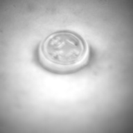 幅：2.1 (cm)×奥行：2.1 (cm)×高さ：0.5 (cm)／3 (g)，撮影・計測日：1995-01-31