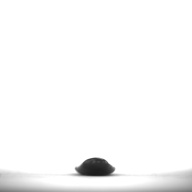 幅：1.7 (cm)×奥行：6.2 (cm)×高さ：0.7 (cm)／36 (g)，撮影・計測日：1995-02-07