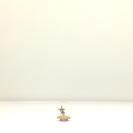 幅：5.5 (cm)×奥行：45 (cm)×高さ：4.0 (cm)／252 (g)，撮影・計測日：2001-09-27