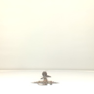 幅：25 (cm)×奥行：69 (cm)×高さ：3.1 (cm)／884 (g)，撮影・計測日：2001-10-12