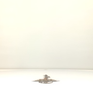 幅：25 (cm)×奥行：74 (cm)×高さ：6.8 (cm)／803 (g)，撮影・計測日：2001-10-12