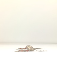幅：32 (cm)×奥行：28 (cm)×高さ：3.4 (cm)／369 (g)，撮影・計測日：2001-10-12