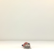 幅：6.6 (cm)×奥行：38 (cm)×高さ：4.4 (cm)／300 (g)，撮影・計測日：2001-10-10