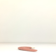 幅：49 (cm)×奥行：20 (cm)×高さ：2.5 (cm)／317 (g)，撮影・計測日：2001-10-22