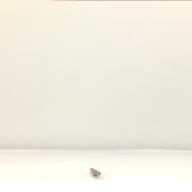 幅：1.4 (cm)×奥行：28 (cm)×高さ：1.2 (cm)／10 (g)，撮影・計測日：2001-10-16