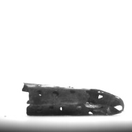 幅：1.7 (cm)×奥行：4.1 (cm)×高さ：1.0 (cm)／1 (g)，撮影・計測日：1996-06-13