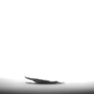 幅：3.6 (cm)×奥行：2.1 (cm)×高さ：0.1 (cm)／4 (g)，撮影・計測日：1996-08-15