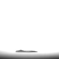 幅：3.1 (cm)×奥行：1.8 (cm)×高さ：0.1 (cm)／7 (g)，撮影・計測日：1996-08-15