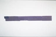 横：354 (cm)×縦：37 (cm)／145 (g)，撮影・計測日：2005-01-19