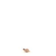 幅：1.7 (cm)×奥行：14 (cm)×高さ：1.0 (cm)／29 (g)，撮影・計測日：2001-06-22