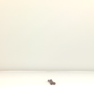 幅：1.8 (cm)×奥行：27 (cm)×高さ：1.0 (cm)／99 (g)，撮影・計測日：2001-10-22