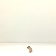 幅：6.9 (cm)×奥行：54 (cm)×高さ：3.0 (cm)／76 (g)，撮影・計測日：2001-11-09
