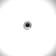 幅：1.5 (cm)×奥行：1.5 (cm)×高さ：7.0 (cm)／3 (g)，撮影・計測日：1996-06-04