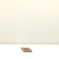 幅：8.1 (cm)×奥行：44 (cm)×高さ：1.5 (cm)／117 (g)，撮影・計測日：2001-11-21