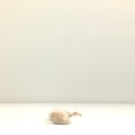 幅：7.2 (cm)×奥行：41 (cm)×高さ：5.7 (cm)／907 (g)，撮影・計測日：2001-11-21