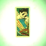 幅：3.0 (cm)×奥行：6.4 (cm)×高さ：0.1 (cm)／9 (g)，撮影・計測日：1996-09-10