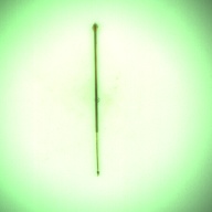 幅：0.3 (cm)×奥行：26 (cm)×高さ：0.3 (cm)／2 (g)，撮影・計測日：1996-09-03