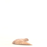 W:9.2 (cm)×D:18 (cm)×H:3.1 (cm)／309 (g)，Measurement date:2001-07-18