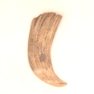 W:9.2 (cm)×D:18 (cm)×H:3.1 (cm)／309 (g)，Measurement date:2001-07-18