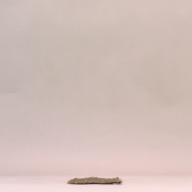 W:42 (cm)×D:14 (cm)×H:0.6 (cm)／61 (g)，Measurement date:2002-07-30