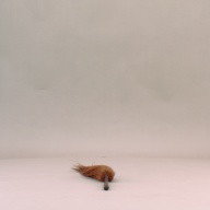 W:5.4 (cm)×D:61 (cm)×H:5.7 (cm)／135 (g)，Measurement date:2002-07-19