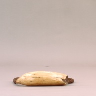 W:18 (cm)×D:27 (cm)×H:5.8 (cm)／623 (g)，Measurement date:2002-07-18