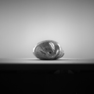 W:7.7 (cm)×D:16 (cm)×H:3.2 (cm)／465 (g)，Measurement date:1993-11-10