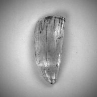 W:7.7 (cm)×D:16 (cm)×H:3.2 (cm)／465 (g)，Measurement date:1993-11-10