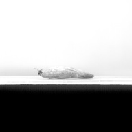 W:17 (cm)×D:51 (cm)×H:5.8 (cm)／750 (g)，Measurement date:1993-12-24