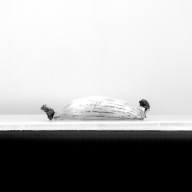 W:16 (cm)×D:36 (cm)×H:5.4 (cm)／568 (g)，Measurement date:1993-12-24