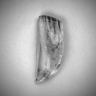 W:6.6 (cm)×D:17 (cm)×H:3.4 (cm)／468 (g)，Measurement date:1993-11-10