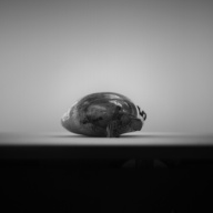 W:8.5 (cm)×D:18 (cm)×H:3.4 (cm)／495 (g)，Measurement date:1993-11-10