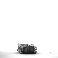 W:14 (cm)×D:3.6 (cm)×H:1.4 (cm)／33 (g)，Measurement date:1996-12-20