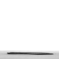 幅：0.5 (cm)×奥行：8.5 (cm)×高さ：0.2 (cm)／2 (g)，撮影・計測日：1997-02-05