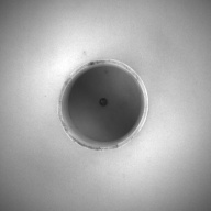 幅：8.4 (cm)×奥行：8.6 (cm)×高さ：8.5 (cm)／371 (g)，撮影・計測日：1993-11-11