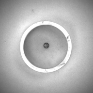 幅：7.6 (cm)×奥行：7.6 (cm)×高さ：2.0 (cm)／61 (g)，撮影・計測日：1993-11-11