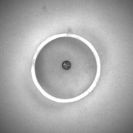 幅：6.2 (cm)×奥行：6.3 (cm)×高さ：1.5 (cm)／23 (g)，撮影・計測日：1993-11-11