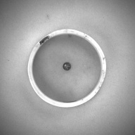 幅：8.1 (cm)×奥行：8.0 (cm)×高さ：2.5 (cm)／70 (g)，撮影・計測日：1993-11-11